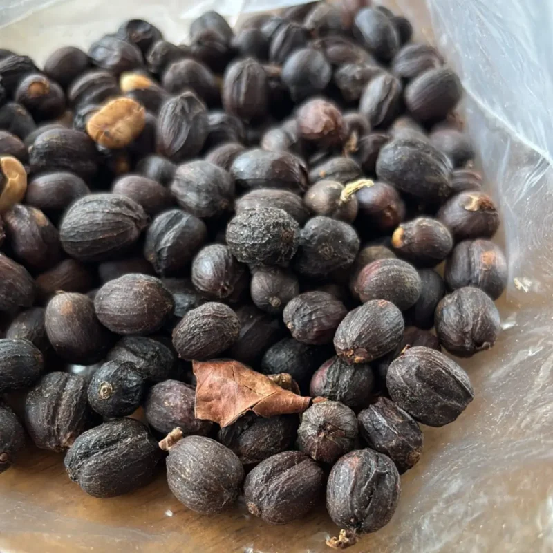 Café Colombia Sidra – Uitzonderlijke micro-lot