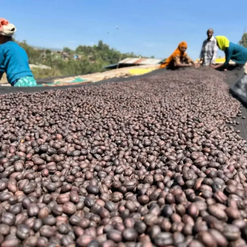 Koffie uit Ethiopië