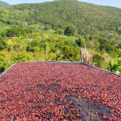 Costa Rica café colombia