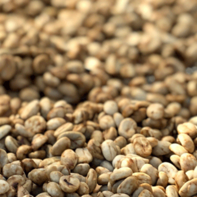 El Salvador café colombia