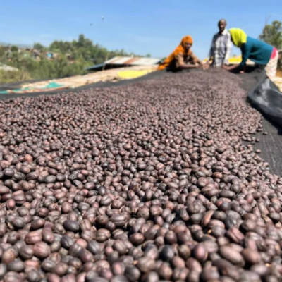Ethiopia café colombia