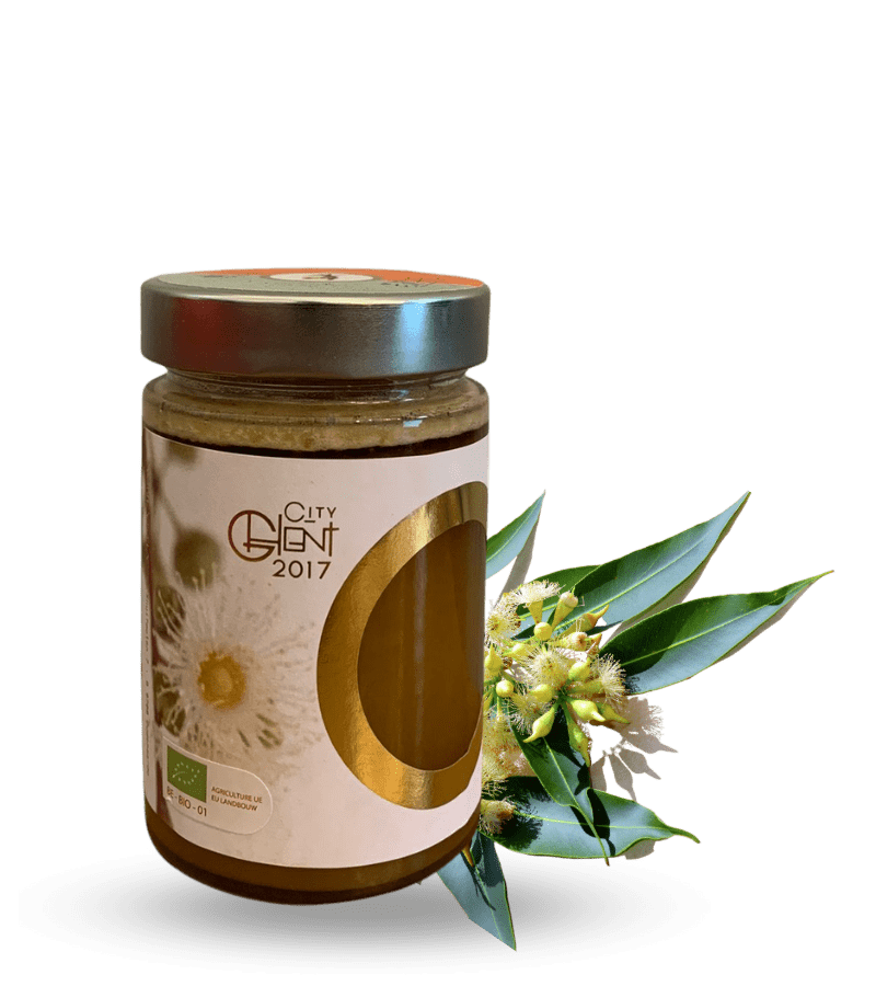 Miel d'Eucalyptus / Italie *BIO*