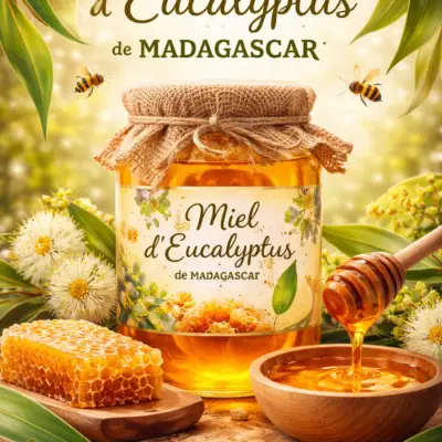 Miel d'Eucalyptus / Madagascar *BIO* 400g