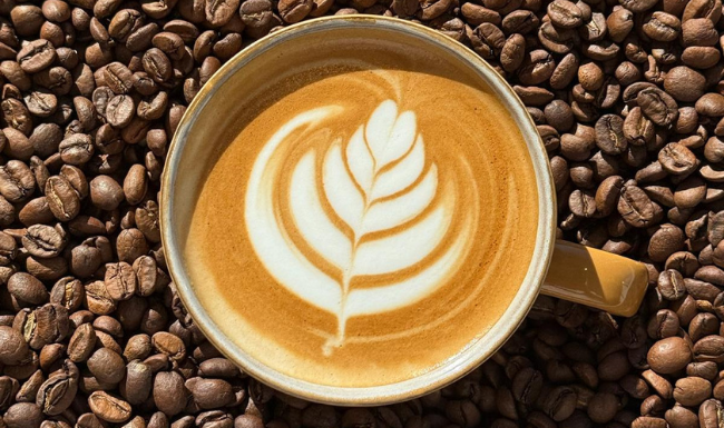 Du grain vert au café d'exception : notre passion pour le geish Café Colombia Roastery Shop – Cafés et thés haut de gammea de l'Acatenango