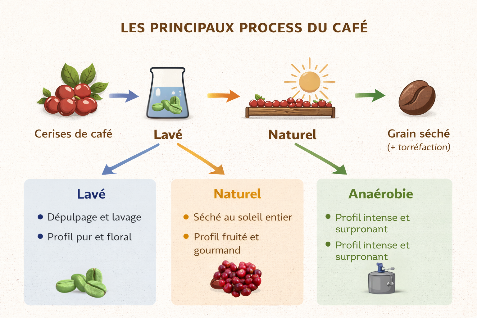 Trairement du café Profil-intense-et-surpronant-Café-Colombia